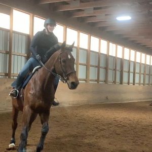 Meet your Posher, Annie